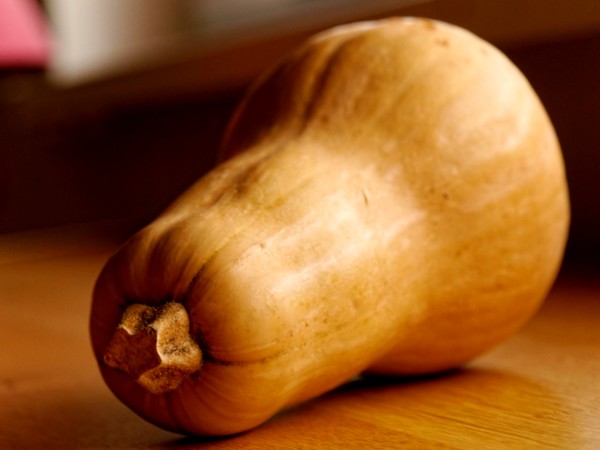 butternutsoep
