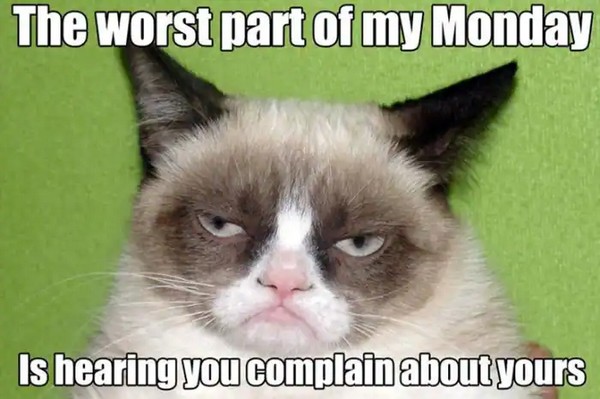 beste internet memes grumpy cat