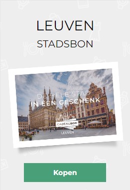 stadsbon leuven