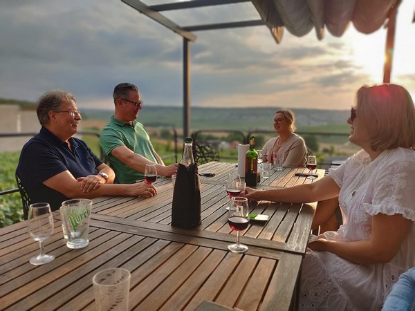 gite coeur de champagne romery terras zwembad