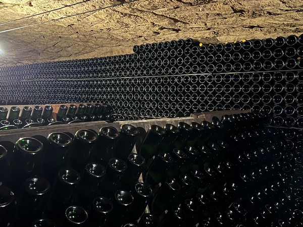 flessen in kelder remy payer