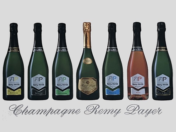champagne remy payer gamma